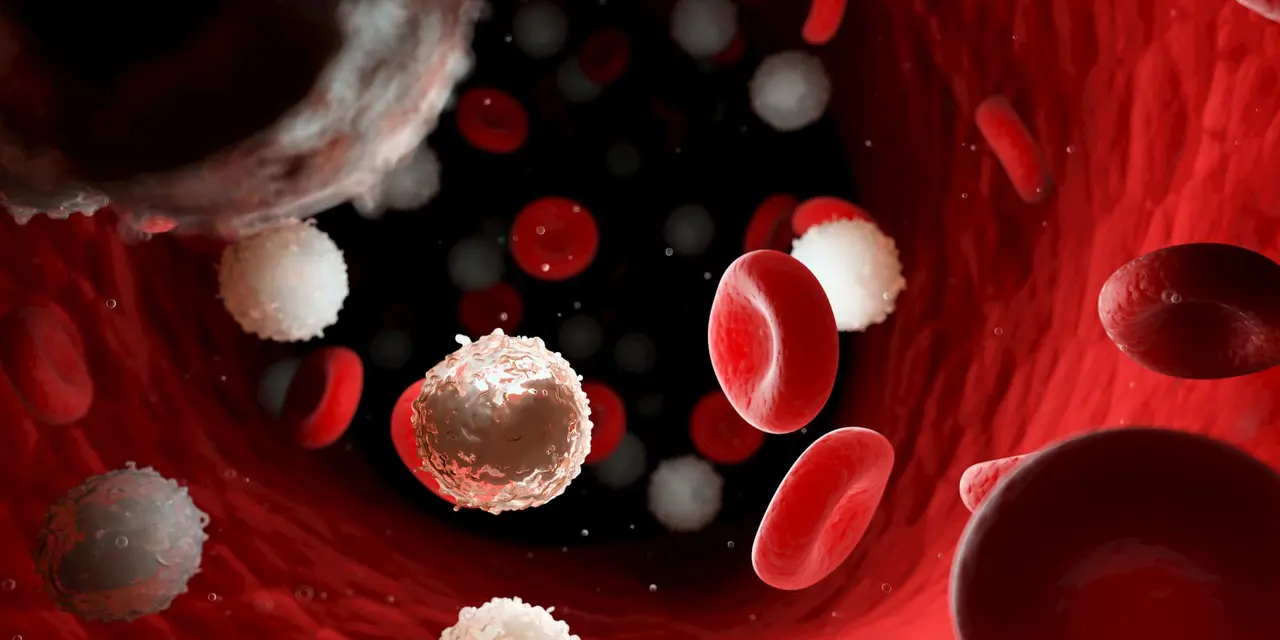 Una microfotografia che mostra le cellule staminali che si trasformano in cellule del muscolo cardiaco