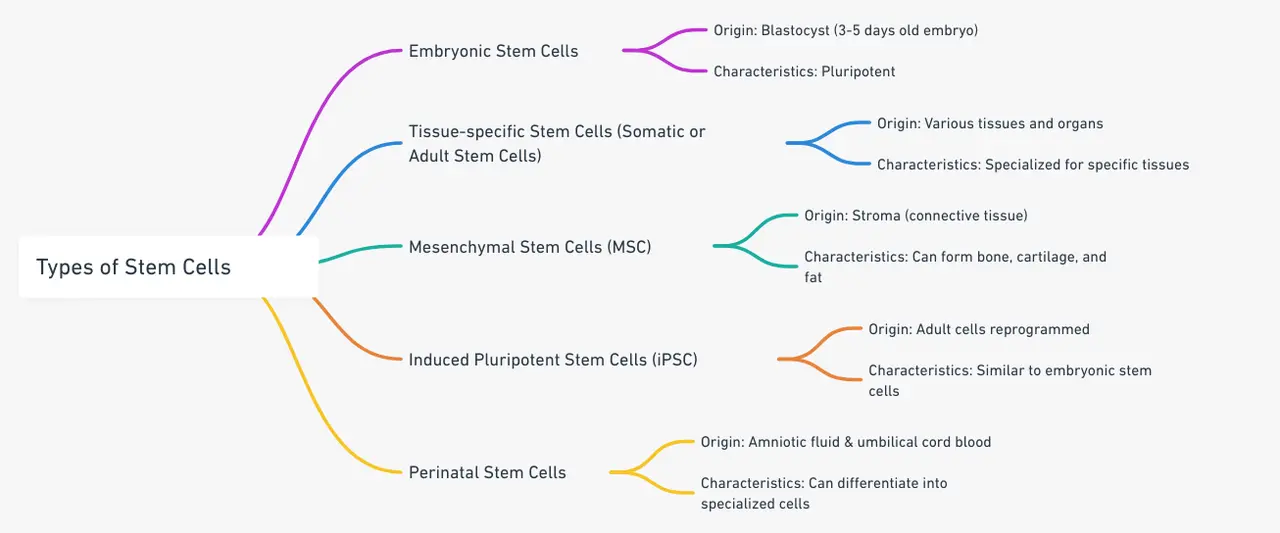 Different typres of stem cell