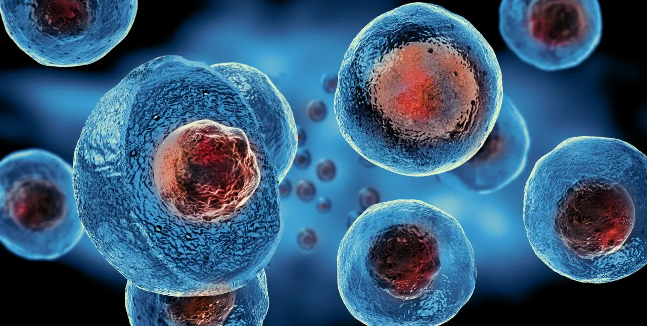 Comprendere il processo della terapia con cellule staminali