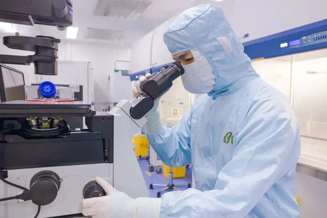 Un tecnico di Beike in tuta sterile da camera bianca esamina al microscopio cellule staminali in coltura